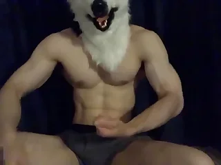 Gay Porn 0